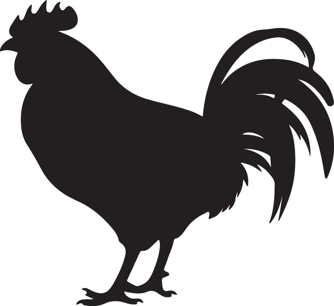 pollo silhouette vettore illustrazione bianca sfondo