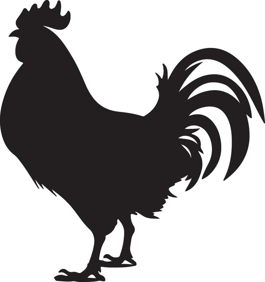 pollo silhouette vettore illustrazione bianca sfondo