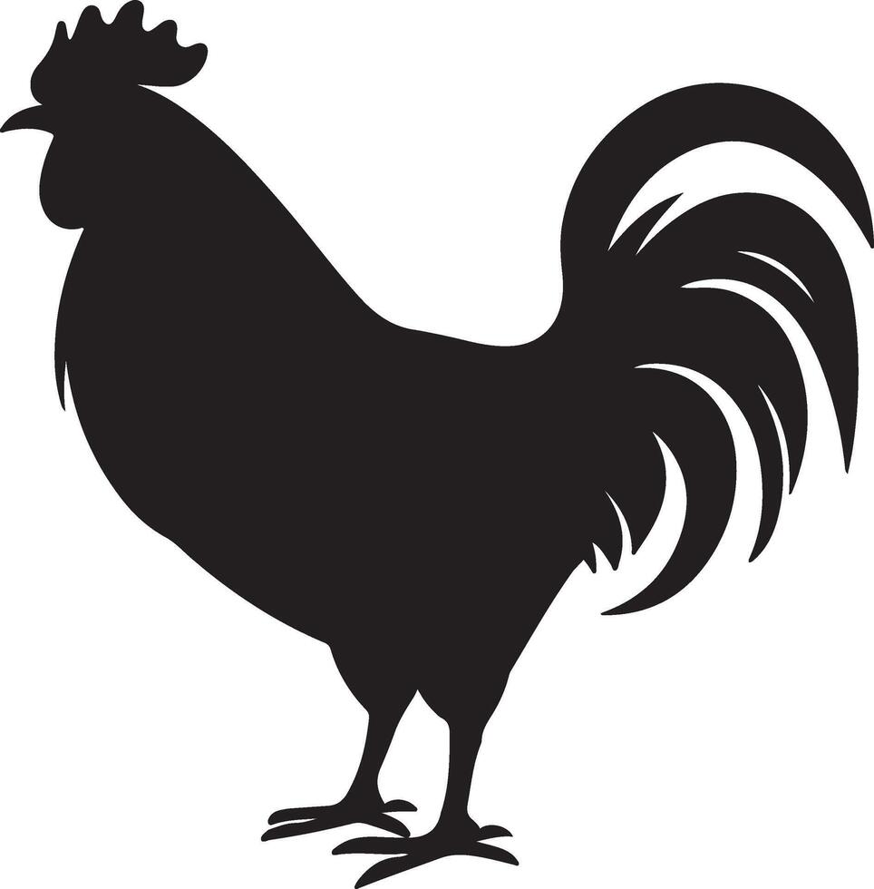 pollo silhouette vettore illustrazione bianca sfondo