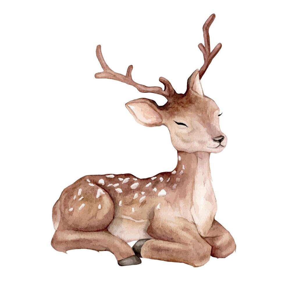 acquerello Natale bambino cervo. macchiato cervo isolato su bianca sfondo. mano dipinto selvaggio animale modello per tessuto. realistico animale per design e Stampa o sfondo. vettore