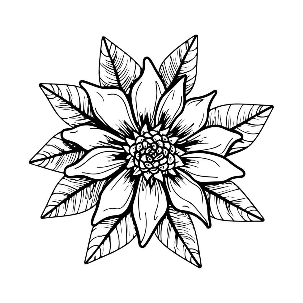 mano disegnato fiore nero schema vettore isolato su bianca sfondo.