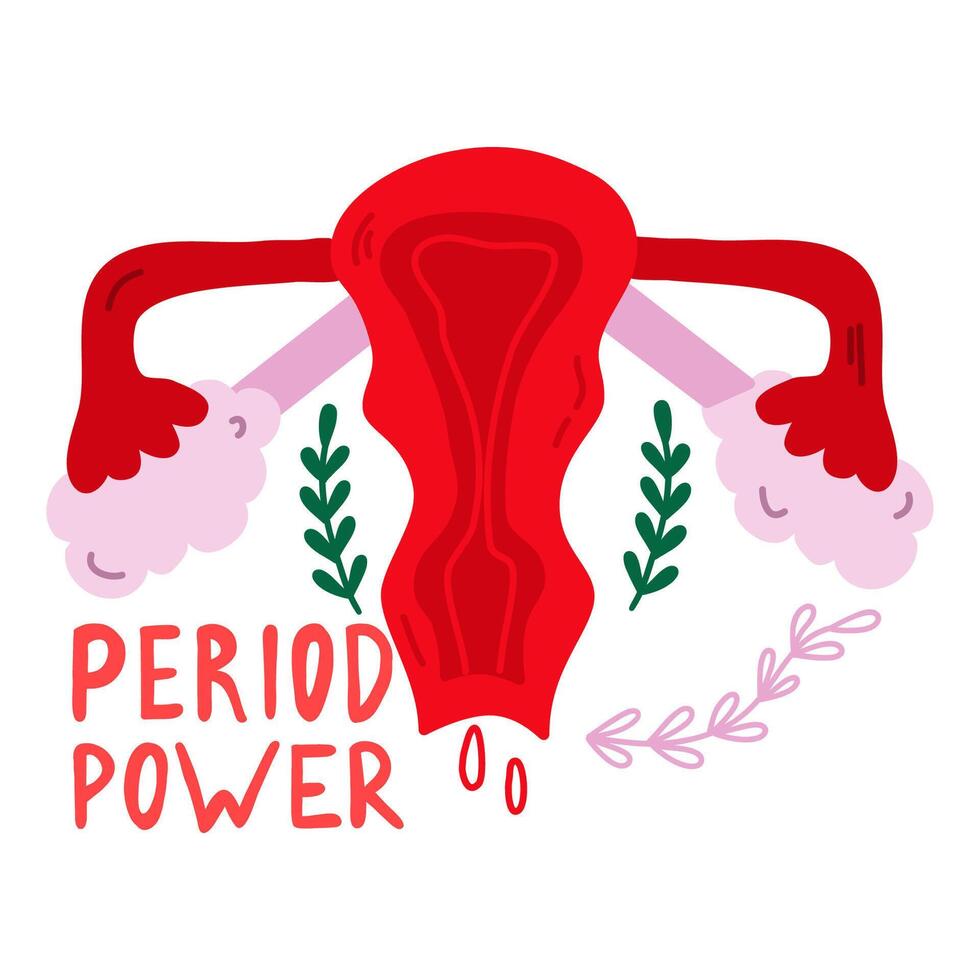 vettore illustrazione di femmina riproduttore sistema. femmina mestruale ciclo. bandiera con utero.