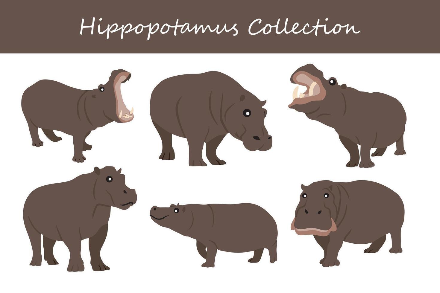 ippopotamo vettore illustrazione impostare. ippopotamo cartone animato carattere.