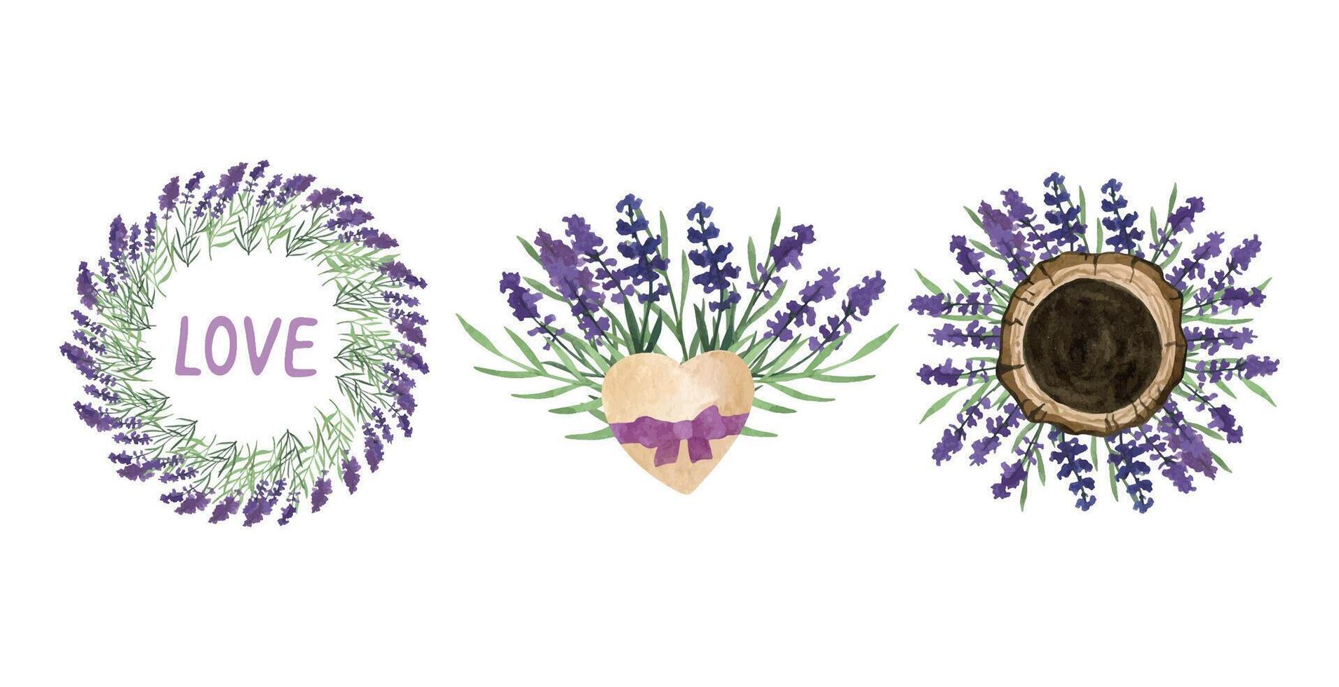 provence lavanda fiore e le foglie confine. mano disegnato estate erba acquerello vettore