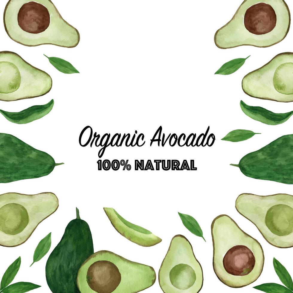 creativo disposizione fatto di acquerello avocado vettore