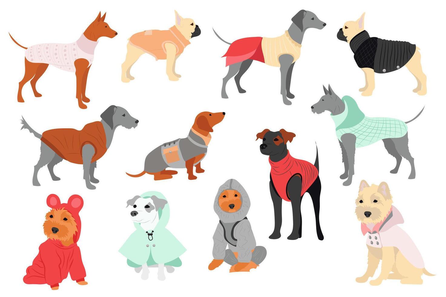 carino cani nel canino Abiti mega impostato nel piatto design. fascio elementi di diverso razze cuccioli nel divertente inverno cappotti, caldo maglioni e altro abiti. vettore illustrazione isolato grafico oggetti