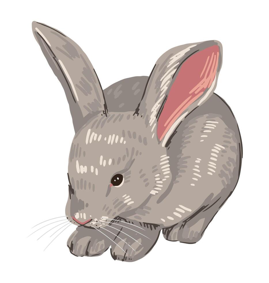 carino bambino coniglio, bella coniglietto. selvaggio animale nel cartone animato stile. contemporaneo vettore illustrazione. moderno clipart isolato su bianca sfondo.