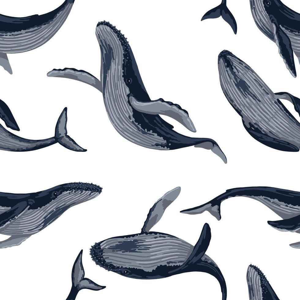 senza soluzione di continuità modello di blu balene. mano disegnato vettore illustrazione. oceano mammifero animale ornamento. bellissimo subacqueo fauna. colorato design per tessuto, tessile, sfondo, sfondo, Stampa, arredamento, avvolgere