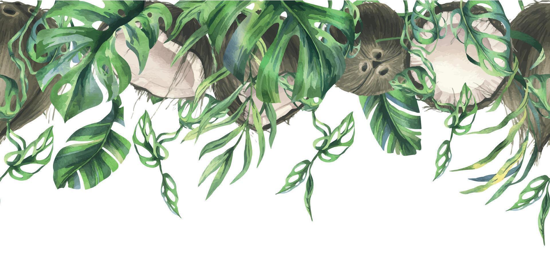 noci di cocco totale, metà e pezzi con luminosa, verde, tropicale palma le foglie. mano disegnato acquerello illustrazione. senza soluzione di continuità confine isolato a partire dal il sfondo. vettore