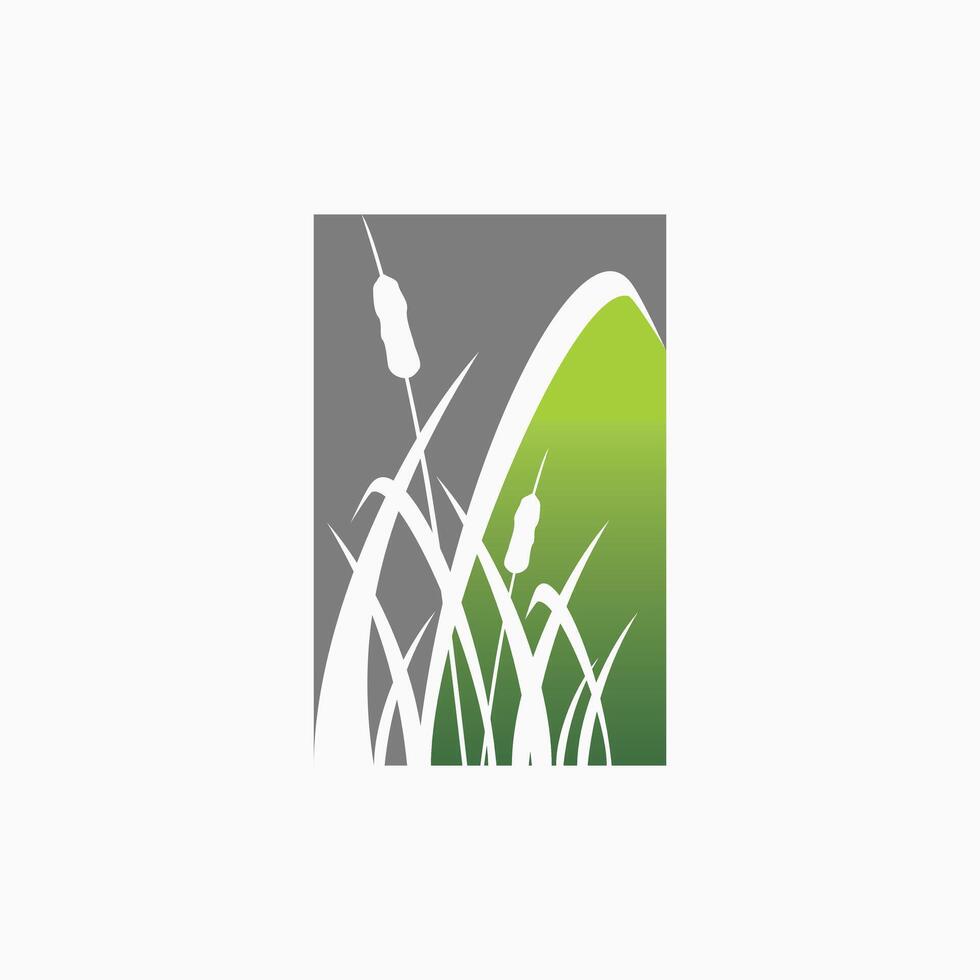 logo design grafico concetto creativo premio vettore azione cartello cattails o fiume canna erba radici pianta. relazionato natura acquatico palude foglia agricoltura