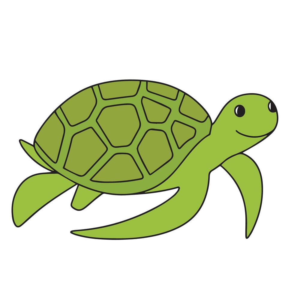 mano disegnato tartaruga colorato schema. impostato di tartaruga nel scarabocchio stile. mano disegnato vettore arte.
