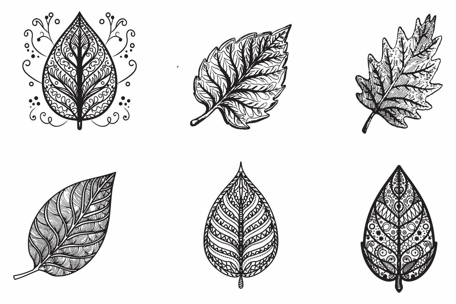 schizzo le foglie impostato schema vettore illustrazione su bianca sfondo