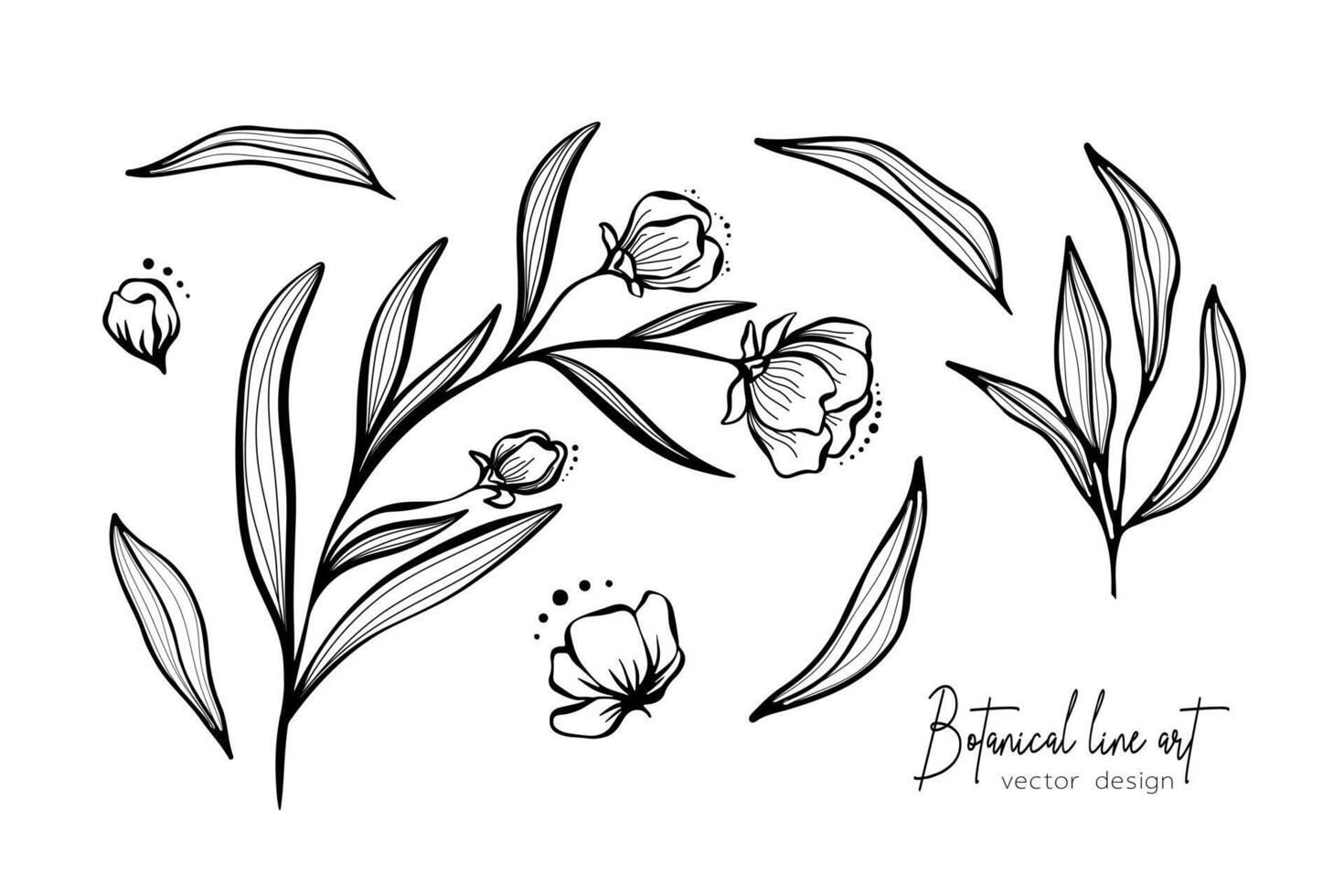 botanico elegante linea arte illustrazione di fiore le foglie ramo per nozze invito e carte, logo disegno, ragnatela, sociale media e manifesto, modello, annuncio, bellezza e cosmetico industria. vettore