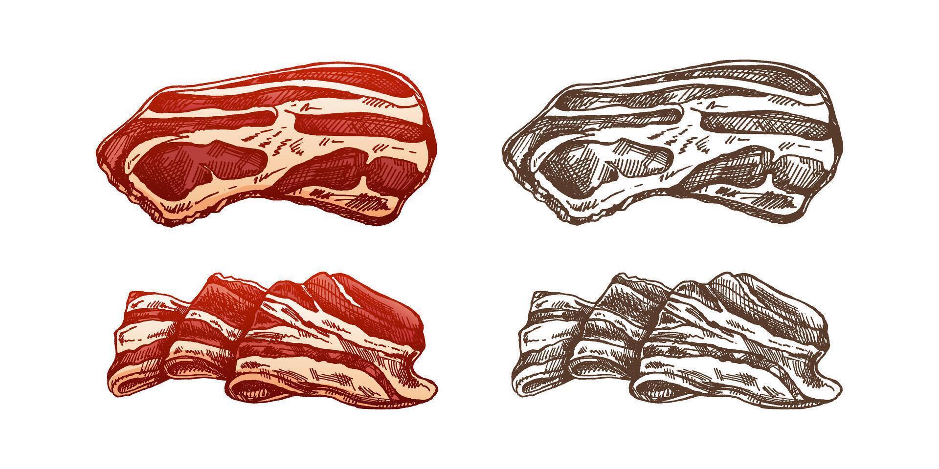 disegnato a mano colorato e monocromatico vettore schizzo impostato di Bacon, hamon o Maiale carne, prosciutto fette. italiano prosciutto Vintage ▾ schizzo. macellaio negozio. grande per etichetta, ristorante menù. inciso Immagine.