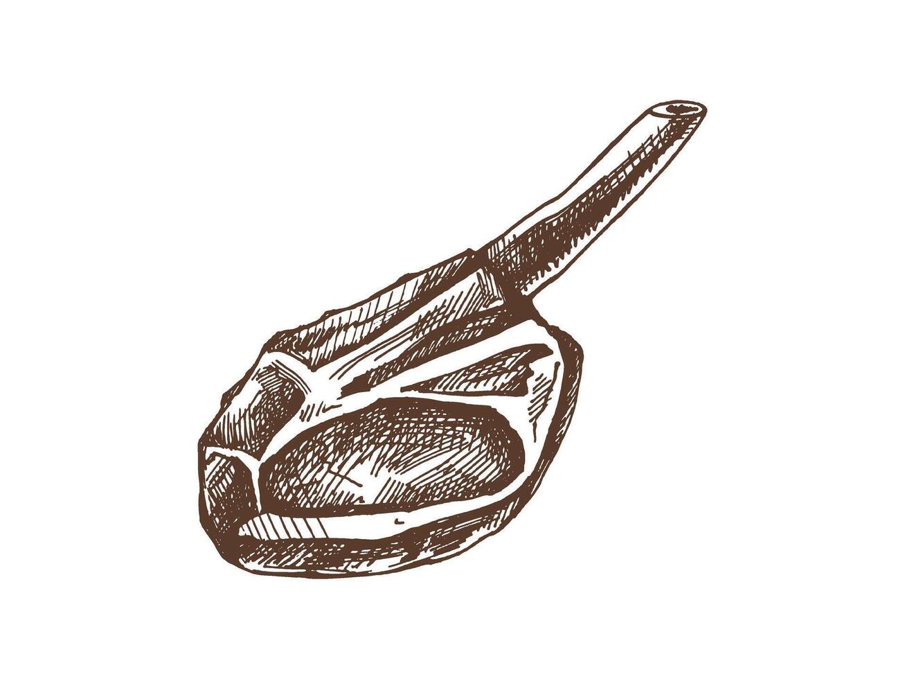 biologico cibo. disegnato a mano vettore schizzo di Manzo bistecca, pezzo di carne su il osso. scarabocchio Vintage ▾ illustrazione. decorazioni per il menù di caffè e etichette. inciso Immagine.