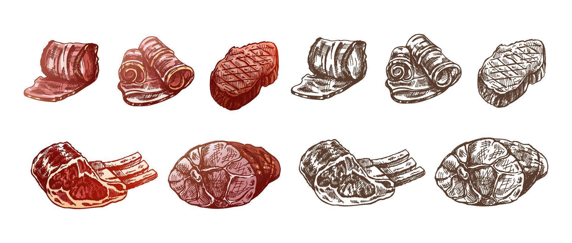 un' impostato di disegnato a mano colorato e monocromatico schizzi di carne pezzi, Manzo bistecca, prosciutto, Maiale, Bacon, costole. fresco carne prodotti. per design di menù per ristoranti, macellaio negozio. Vintage ▾ illustrazione. vettore