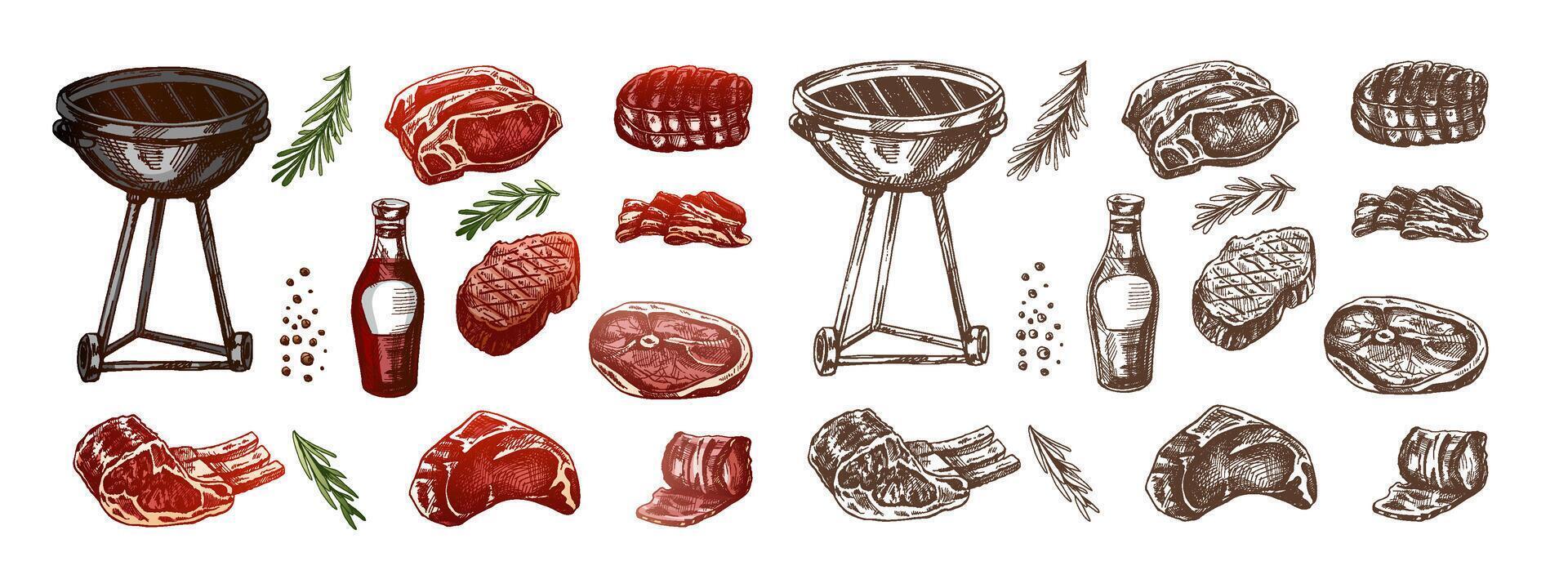 impostato di disegnato a mano colorato e monocromatico schizzi di barbecue elementi. per il design di il menù, grigliato cibo. scarabocchio Vintage ▾ illustrazione. inciso Immagine. vettore