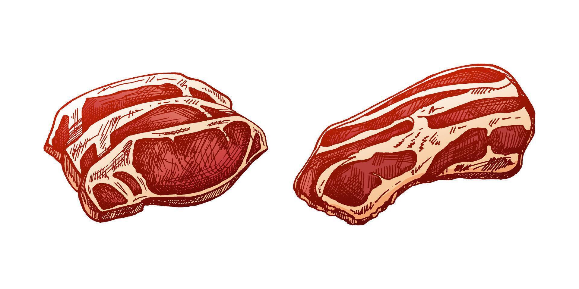 biologico cibo. disegnato a mano colorato vettore schizzo di grigliato Manzo bistecca, pezzi di carne. scarabocchio Vintage ▾ illustrazione. decorazioni per il menù di caffè e etichette. inciso Immagine.