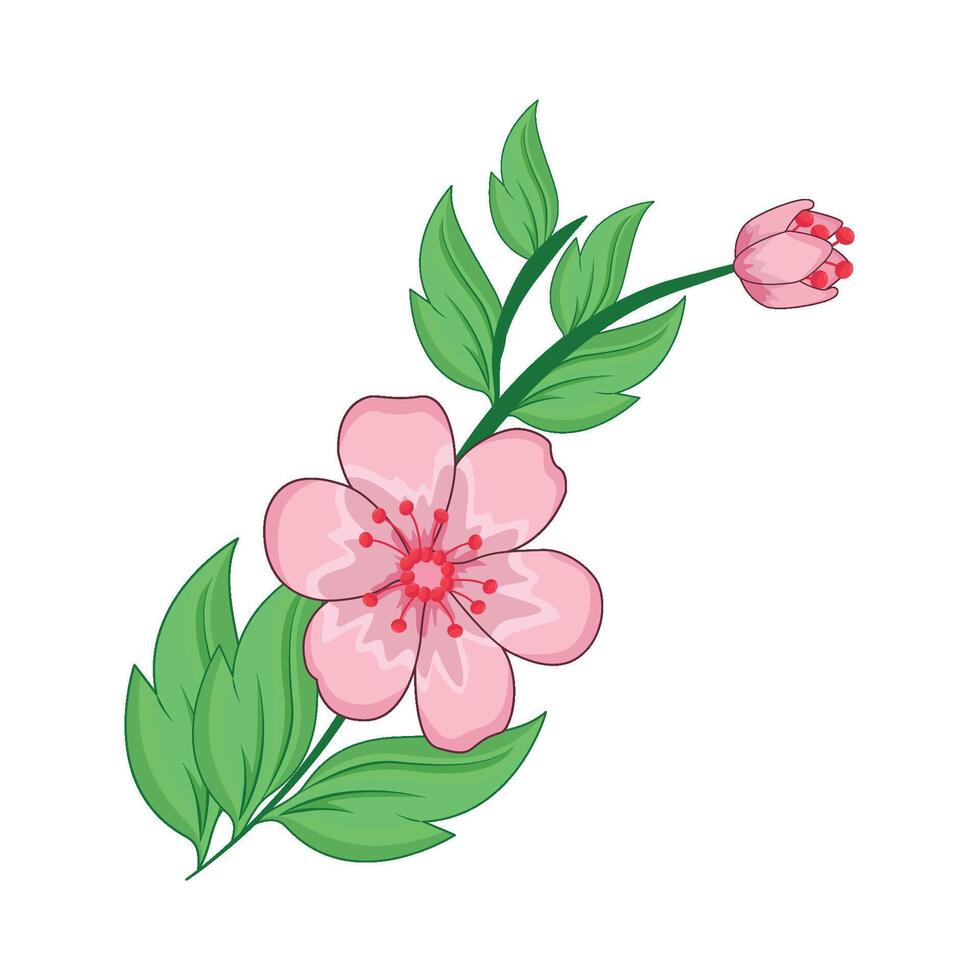 illustrazione di ciliegia fiorire vettore