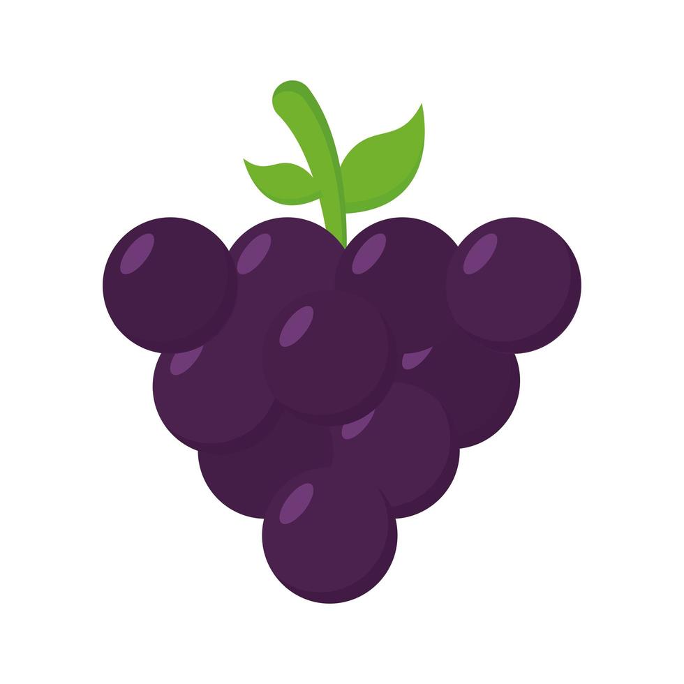 disegno vettoriale di uva frutta icona