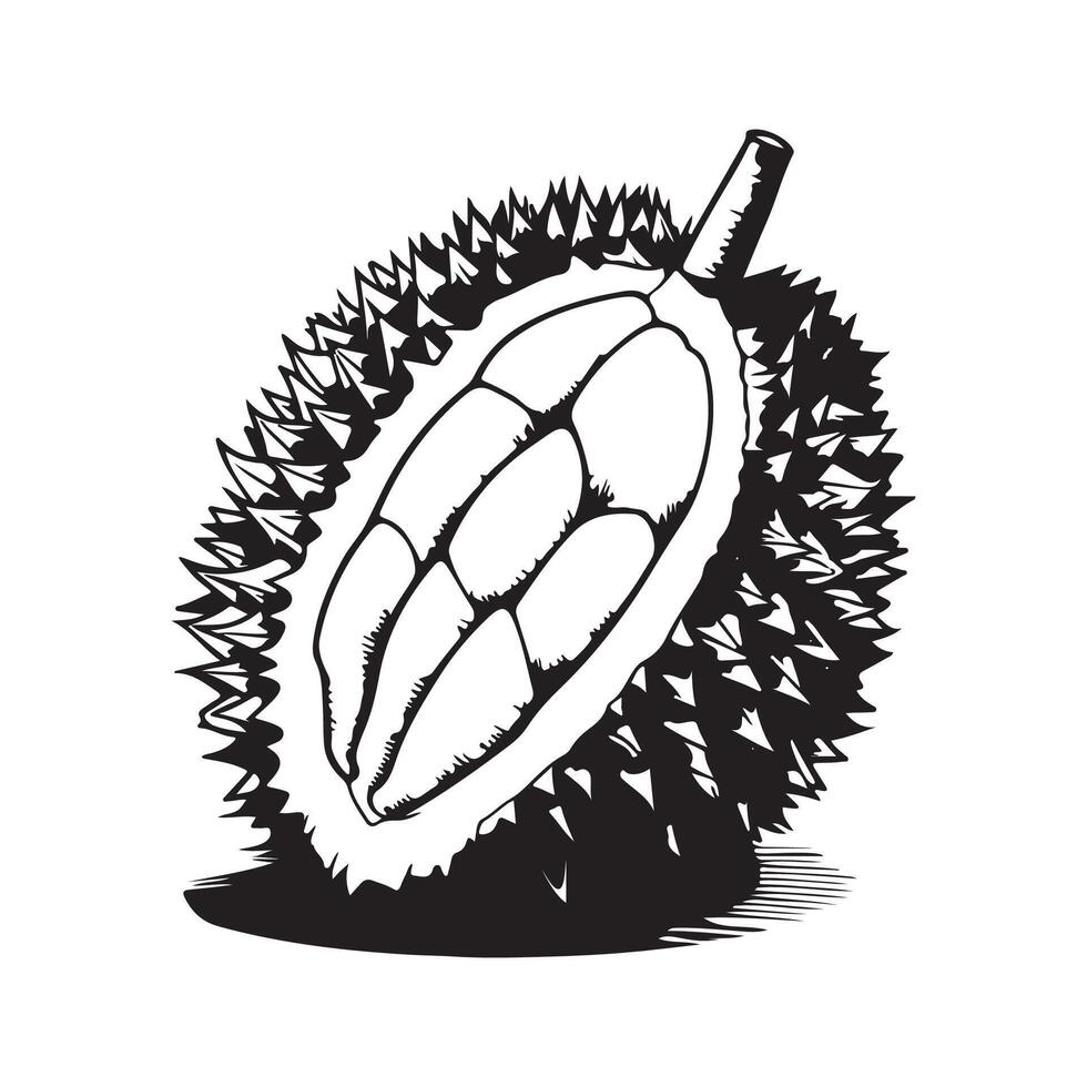 durian vettore arte, icone, e grafica