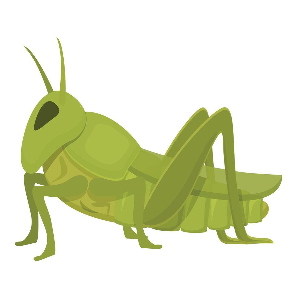 peste cavalletta icona cartone animato vettore. volare formica insetto vettore