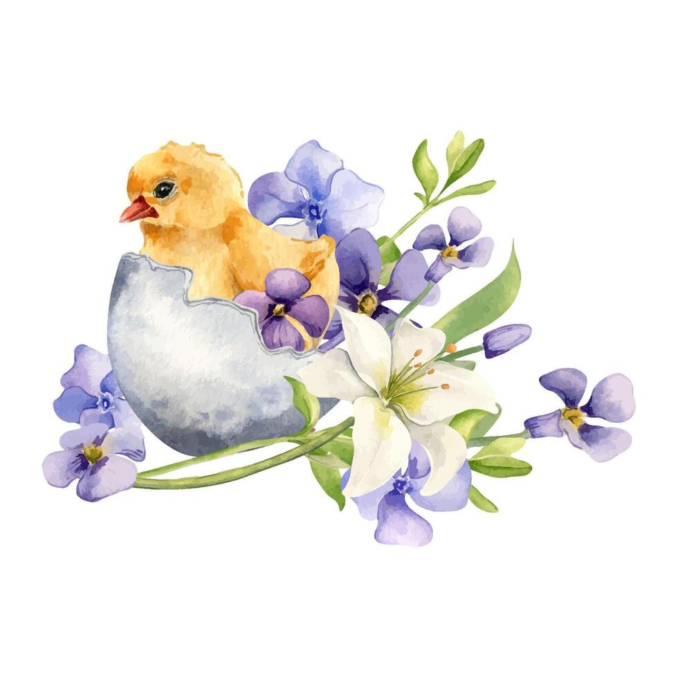 pollo nel uovo conchiglia con fiori. Pasqua acquerello illustrazione isolato su bianca sfondo. pulcino e colorato impianti gigli mano disegnato. dipinto primavera blu fiore. per design Pasqua decorazione vettore