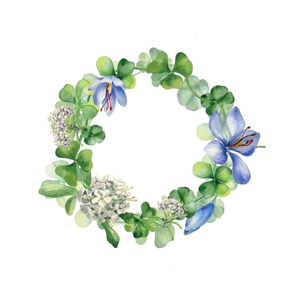 cerchio telaio con croco e trifoglio acquerello illustrazione isolato su bianca sfondo. dipinto bianca primavera fiori telaio. mano disegnato irlandesi simbolo. design per San Patrizio giorno, Pasqua, primavera vettore