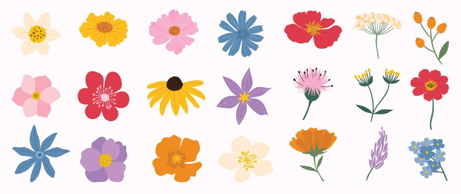 collezione di primavera colorato fiore elementi vettore. impostato floreale di fiore di campo, foglia ramo, fogliame su bianca sfondo. mano disegnato fiorire illustrazione per arredamento, Pasqua, ringraziamento, clipart. vettore