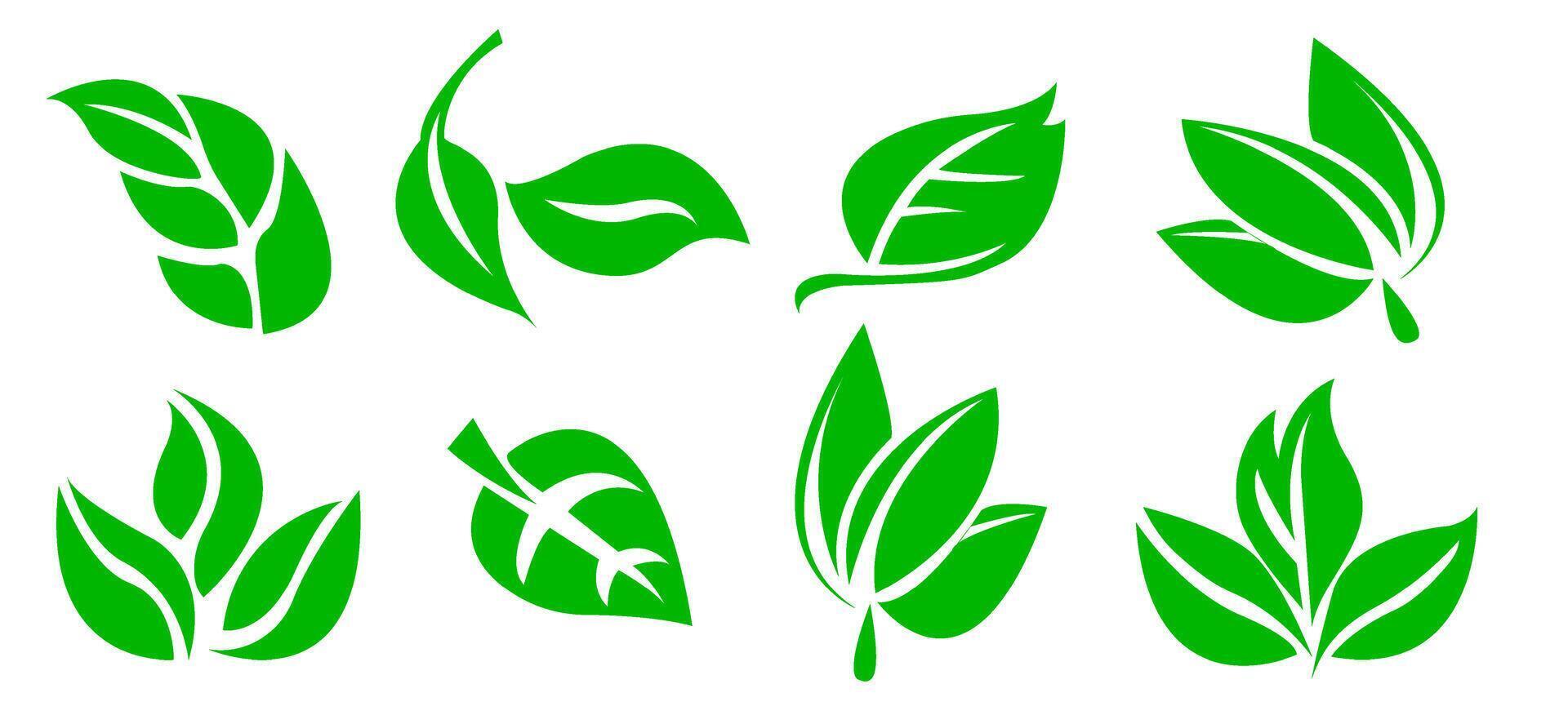 un' impostato di verde le foglie su un' bianca sfondo, per loghi, disegni, per il simbolismo di il verde pianeta vettore