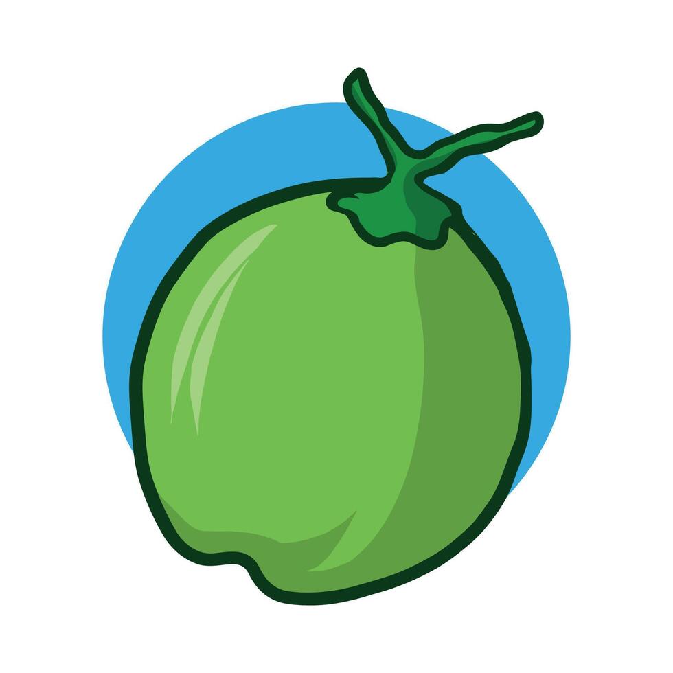 illustrazione vettoriale di frutta di cocco