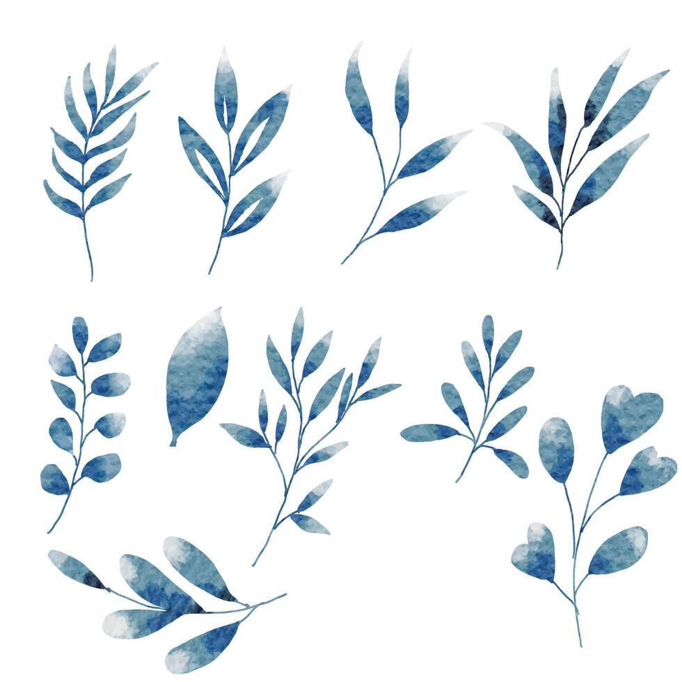 acquerello blu le foglie elemento impostato vettore