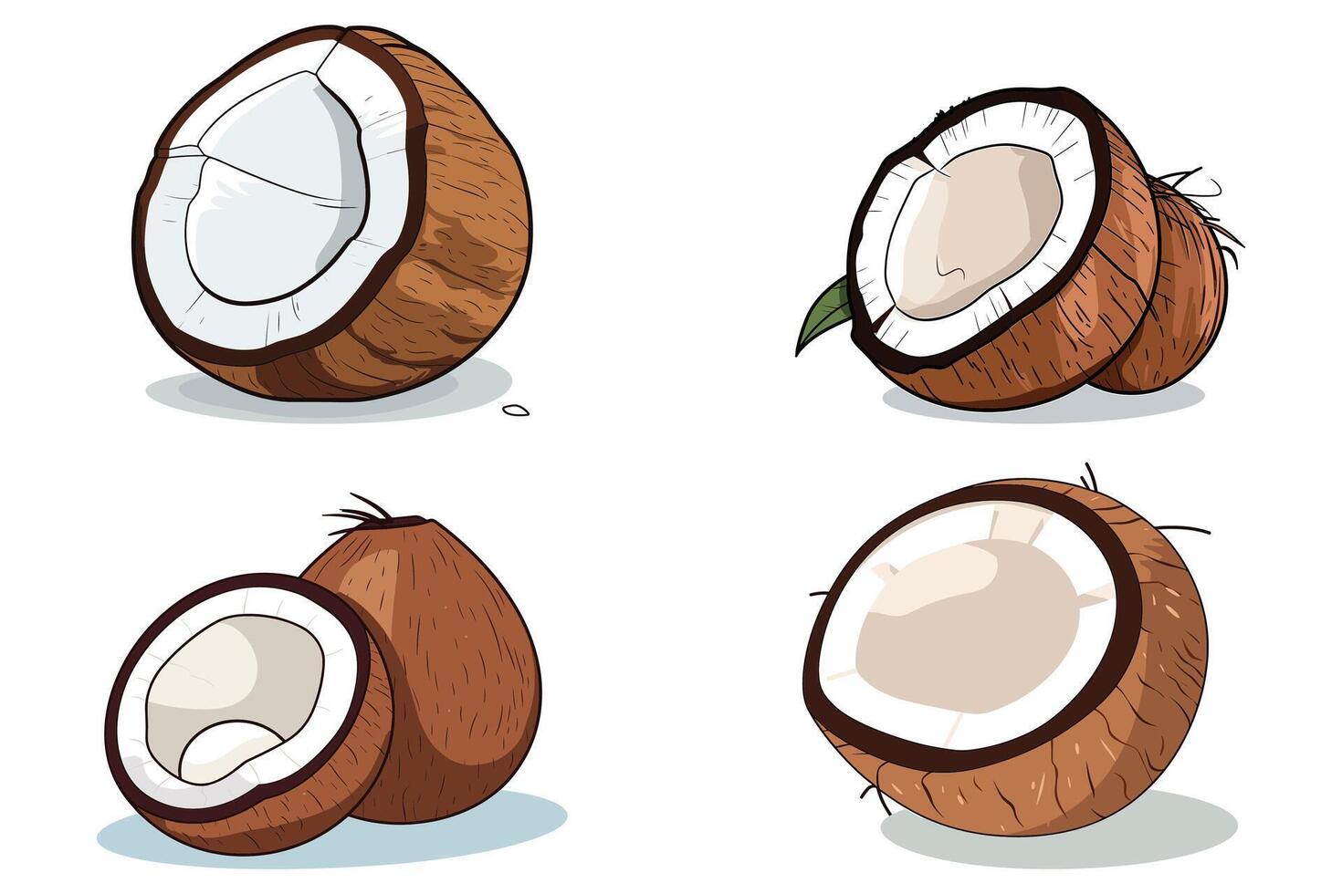 cartone animato Noce di cocco vettore illustrazione.