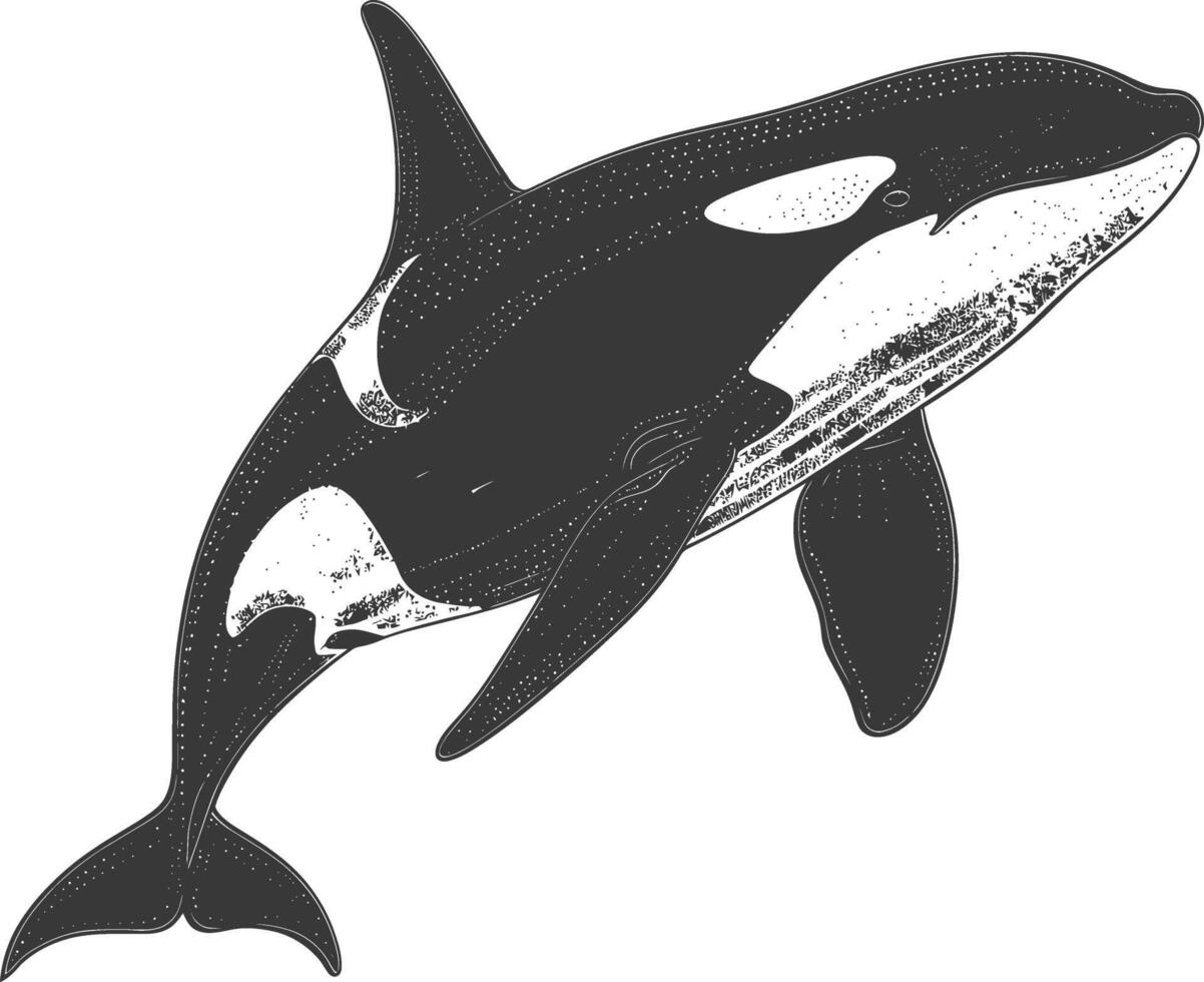 ai generato silhouette il orca o uccisore balena pesce animale nero colore solo vettore