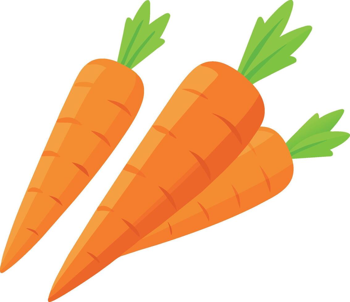 isolato arancia carota vettore illustrazione