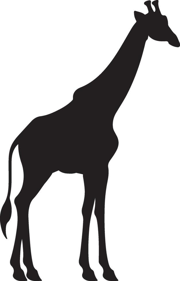 giraffa silhouette vettore illustrazione bianca sfondo