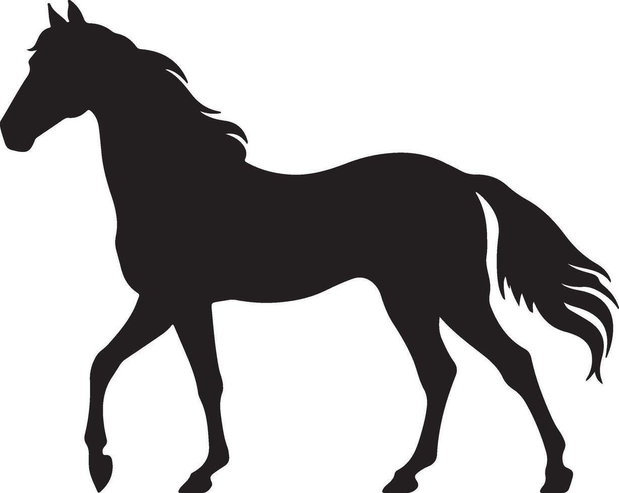 cavallo silhouette vettore illustrazione bianca sfondo