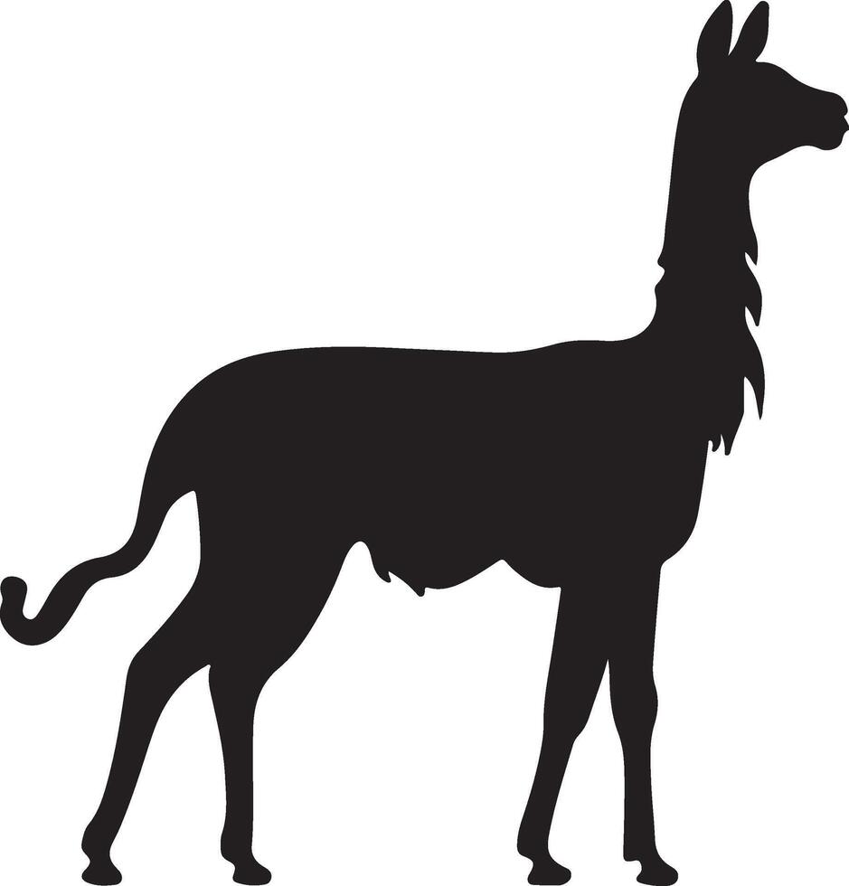 lama silhouette vettore illustrazione bianca sfondo