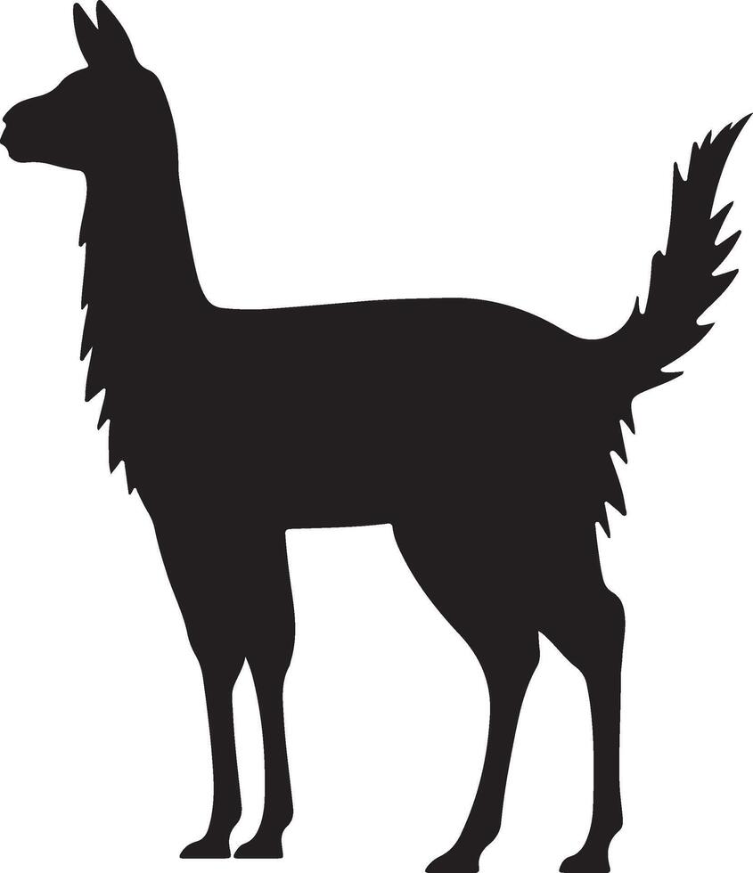 lama silhouette vettore illustrazione bianca sfondo