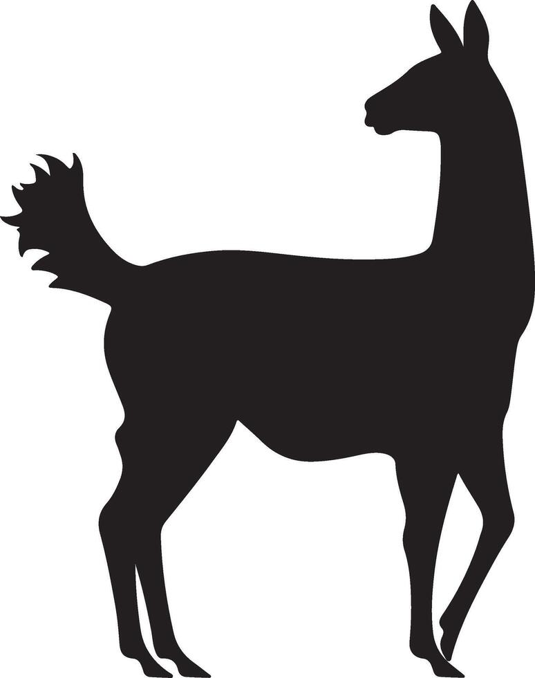 lama silhouette vettore illustrazione bianca sfondo