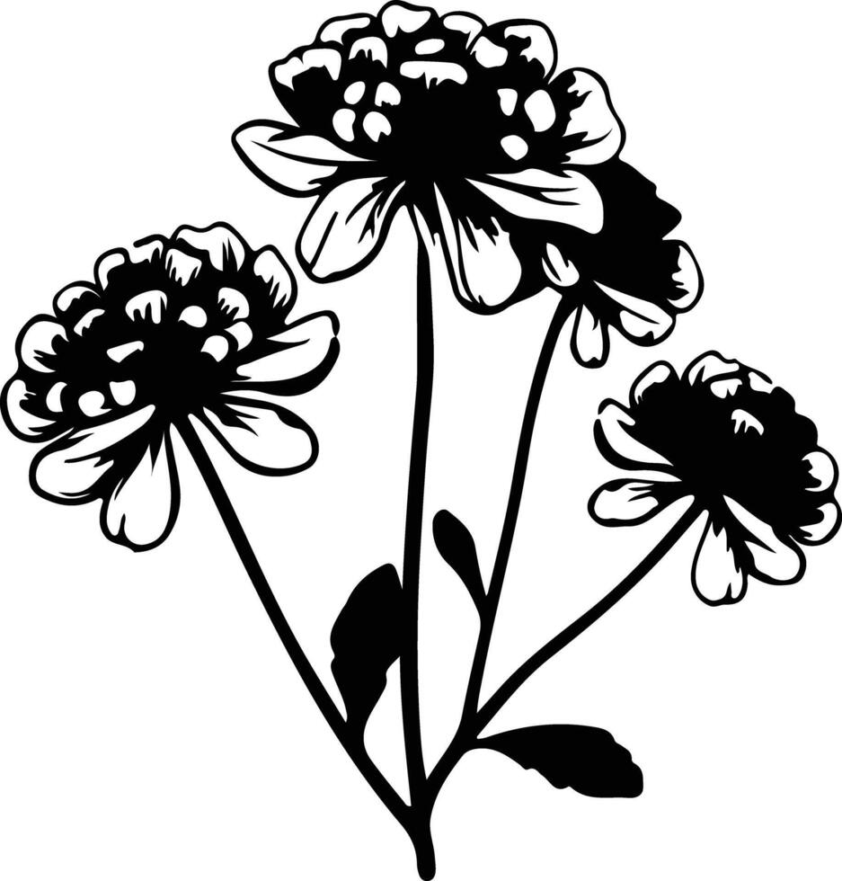 ai generato candytuft nero silhouette vettore