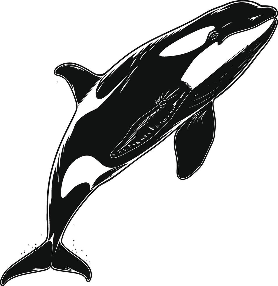 ai generato silhouette il orca o uccisore balena nero colore solo vettore