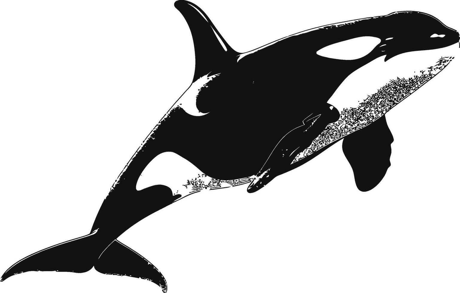ai generato silhouette il orca o uccisore balena nero colore solo vettore