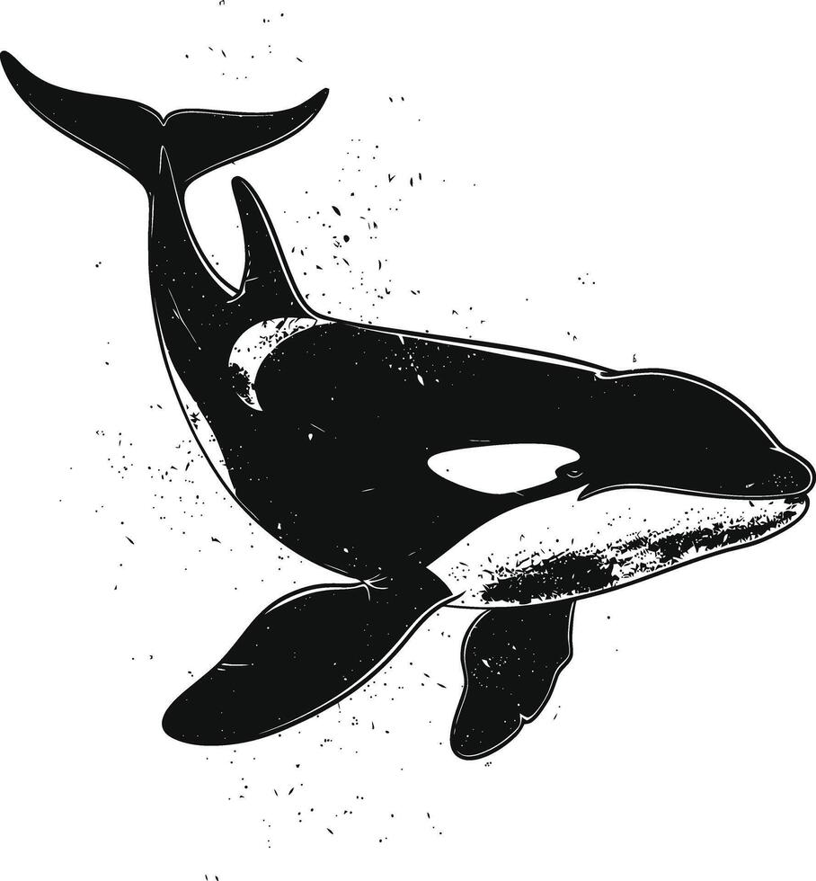 ai generato silhouette il orca o uccisore balena nero colore solo vettore