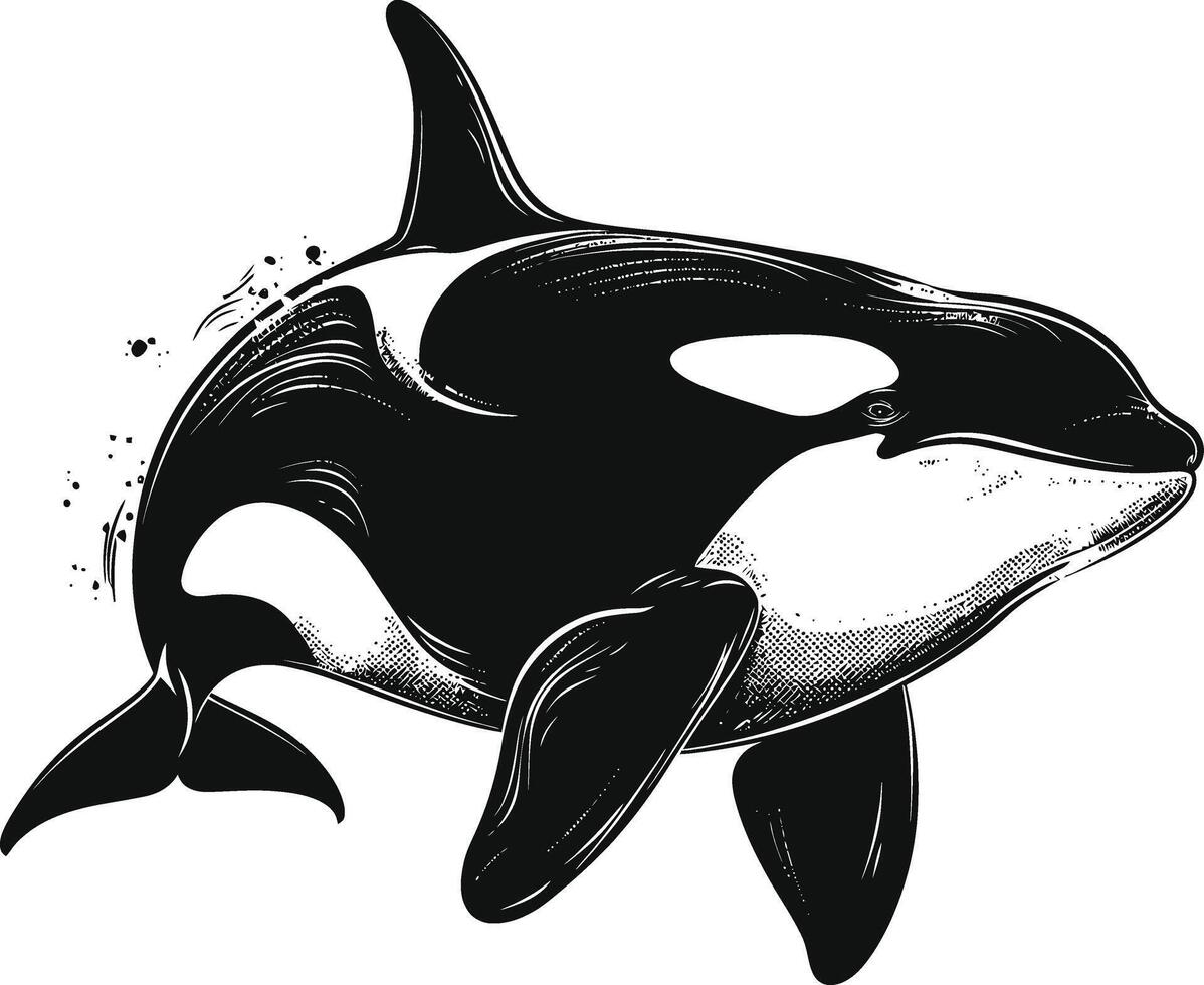 ai generato silhouette il orca o uccisore balena nero colore solo vettore