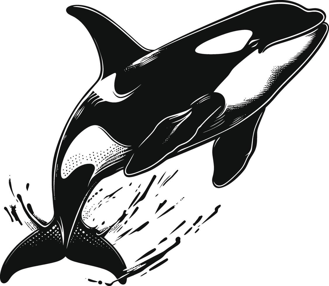 ai generato silhouette il orca o uccisore balena nero colore solo vettore