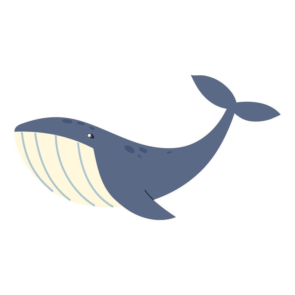 balena animale mare vettore