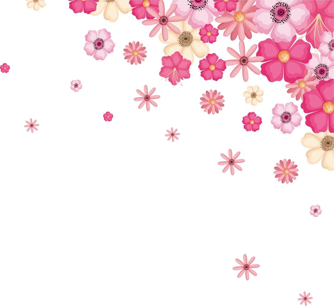 disegno vettoriale di fiori rosa e bianchi isolati
