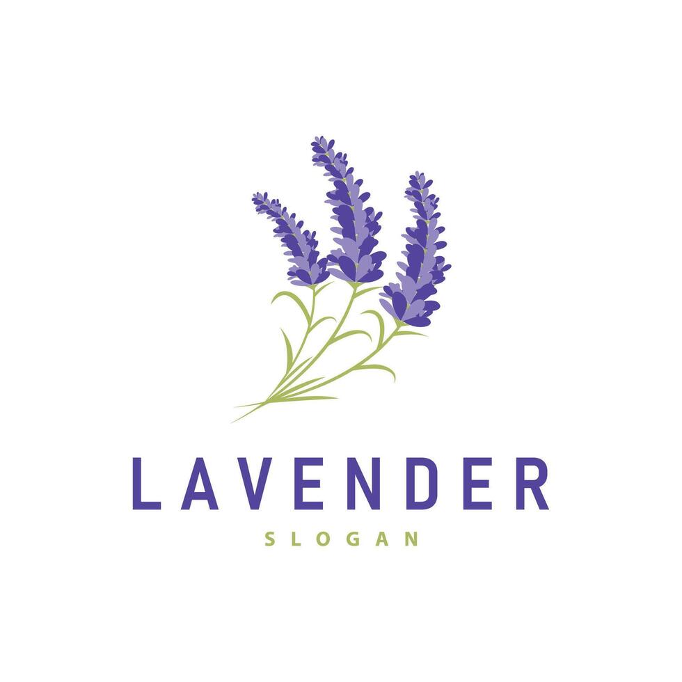 lavanda logo elegante viola fiore pianta illustrazione floreale ornamento design vettore