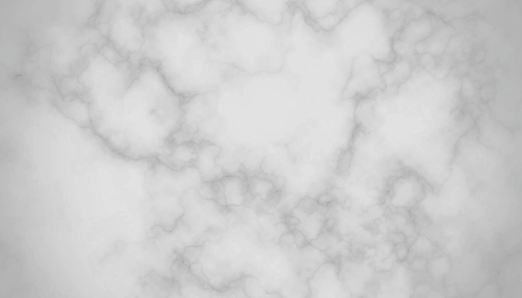bianca marmo struttura panorama lussuoso sfondo modello. bianca e nero pietra ceramica arte parete interno fondale design. marmo con alta risoluzione vettore